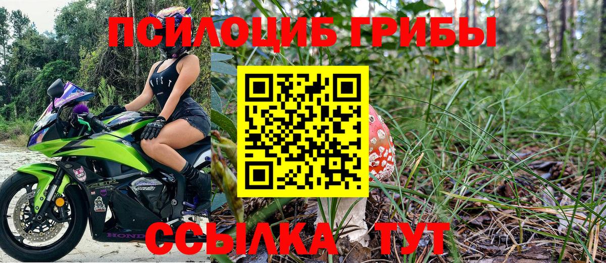 Галлюциногенные грибы Psilocybine cubensis Набережные Челны
