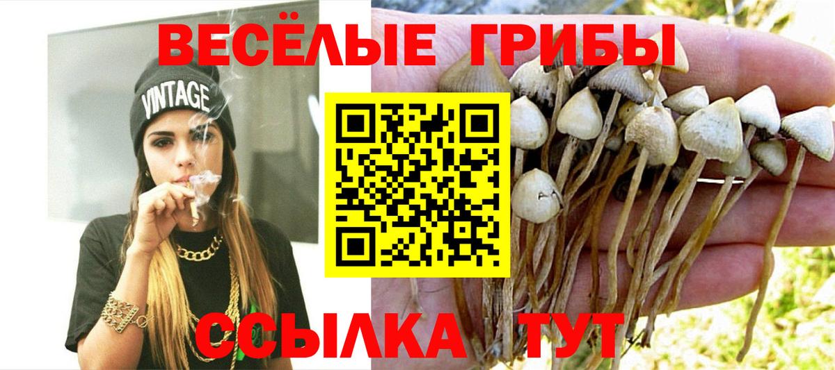 Набережные Челны  Галлюциногенные грибы ЛСД  Псилоцибиновые грибы мицелий  Вход с VPN 